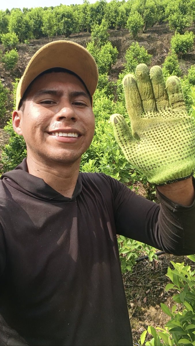 felipe_ort71063's tweet photo. ¡Soy @felipeortegaoficial campesino a mucho honor y con orgullo lo grito al mundo! Hoy quiero dar gracias a Dios porque de su mano , con esfuerzo, sudor y una actitud siempre positiva, no hay sueño imposible. Sé que estoy trabajando muy duro día a día, madrugando con Fé en Dios🙏🏻 https://t.co/jTG0Dypqyi