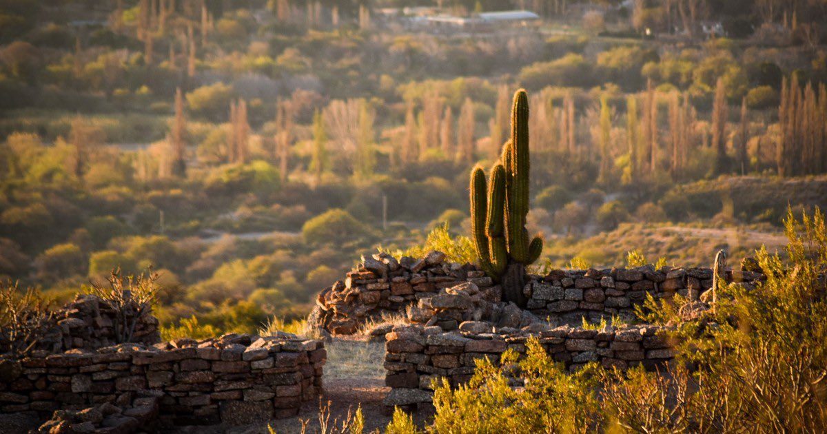 TeresitaMadera's tweet photo. San Blas de Los Sauces es su gente, sus paisajes, sus tradiciones y una fe que atraviesa generaciones. Es la devoción a San Blas, pero también la fuerza de una comunidad que sabe de dónde viene y que sigue construyendo hacia dónde quiere ir.

Hoy celebramos a San Blas de Los Sauces y renovamos nuestro compromiso con su presente y con todo lo que todavía podemos construir juntos.

¡Felices 160 años! ❤️