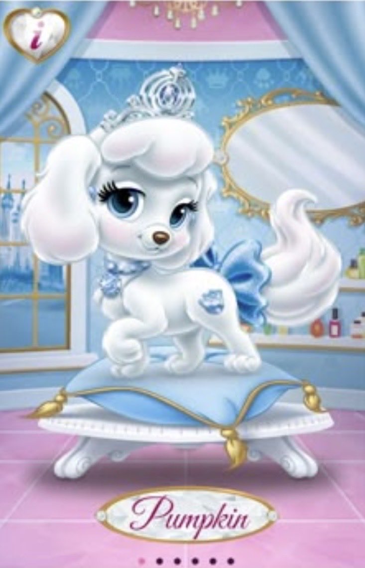 sweet_screams11's tweet photo. Sometimes I wonder who people’s favorite palace pet was https://t.co/p0lL4SMEYC