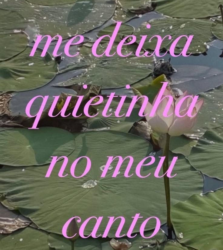 xheleninha's tweet photo. pfv https://t.co/FXxQ53mkr4