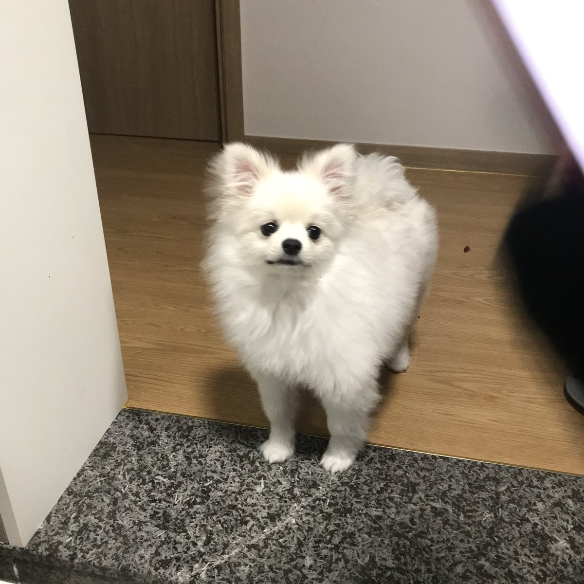 mpnob38's tweet photo. 일상도 좋아해주라
#부산 #일상 https://t.co/CzIQN6UUr7