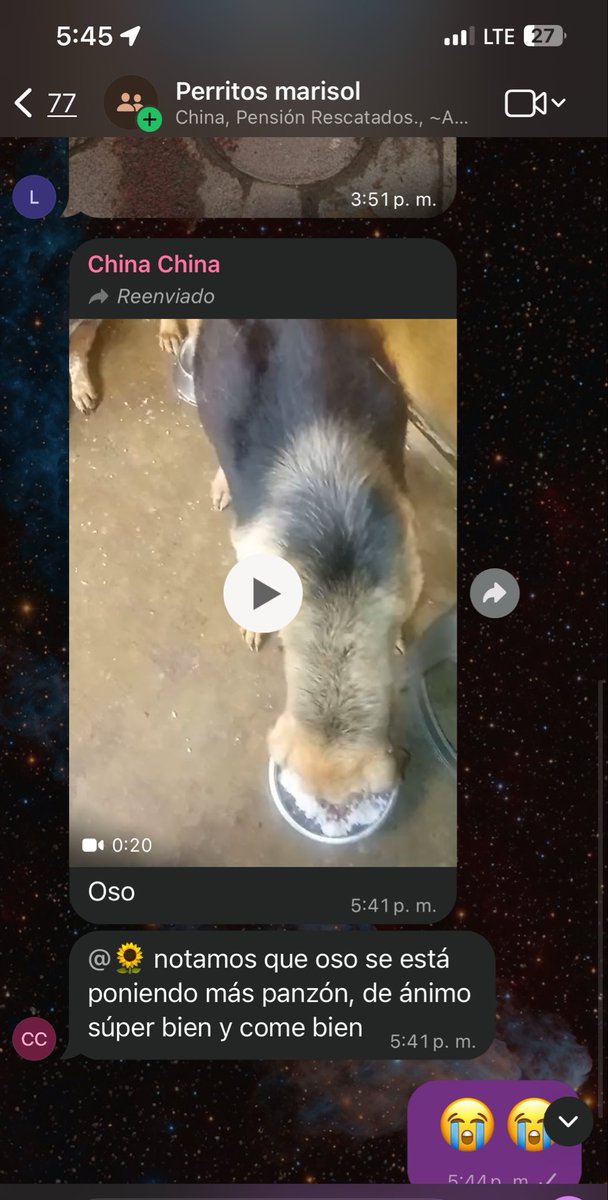 HELA_MORE's tweet photo. Amigos, hace unas semanas les contamos que habíamos decidido no operar a Oso, pero durante estos días hemos seguido investigando, preguntando y hablando con diferentes veterinarios.

Hay algo que Oso ya tiene seguro, se opere o no: va a morir. 💔

Pero hoy existe una pequeña posibilidad de que podamos salvarlo, aunque sea por algunos meses más, y esa posibilidad es operarlo.

Ayer nos reportaron desde la pensión que Oso continúa inflamándose debido al líquido que se está acumulando en su cuerpo por el tumor en el bazo.

Así que hemos tomado una decisión: vamos a operarlo.

Sabemos que existen muchos riesgos y que quizá la cirugía no termine como quisiéramos, pero si vieran los ojos de Oso entenderían lo mismo que nosotros:

Él todavía quiere intentarlo.
Él todavía quiere vivir. 🥺❤️

La cirugía está programada para este jueves y necesitamos vender todos los números de la rifa de la bolsa Louis Vuitton para poder cubrirla.

La cirugía se hará, se reúna o no la ayuda. Ya encontraré yo la manera de cubrirla, pero sería muchísimo más fácil con el apoyo de ustedes.

Por favor, ayúdennos a darle a Oso esta pequeña oportunidad. 🙏🏼

Oso y yo se los vamos a agradecer con todo el corazón. 🐾❤️
