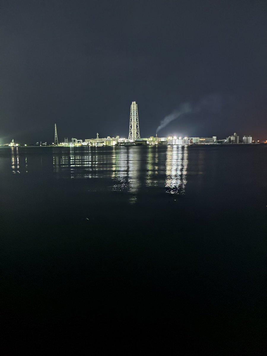 sansa6333's tweet photo. やっぱ1人は嫌やな〜 https://t.co/8Irp6sWur2