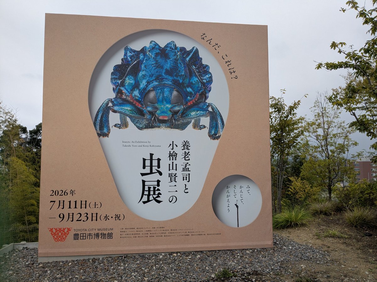 mama56083707's tweet photo. 豊田市博物館で開催中の養老孟司さんと小檜山賢二さんの〚虫展〛へ行ってきました！！
綺麗で標本もたくさんあって楽しかった(⁠≧⁠▽⁠≦⁠)
#虫展
#豊田市博物館
#小檜山賢二
#養老孟司
#昆虫
#虫好き
#昆虫標本
#ゾウムシ https://t.co/ZfoZFh7udZ