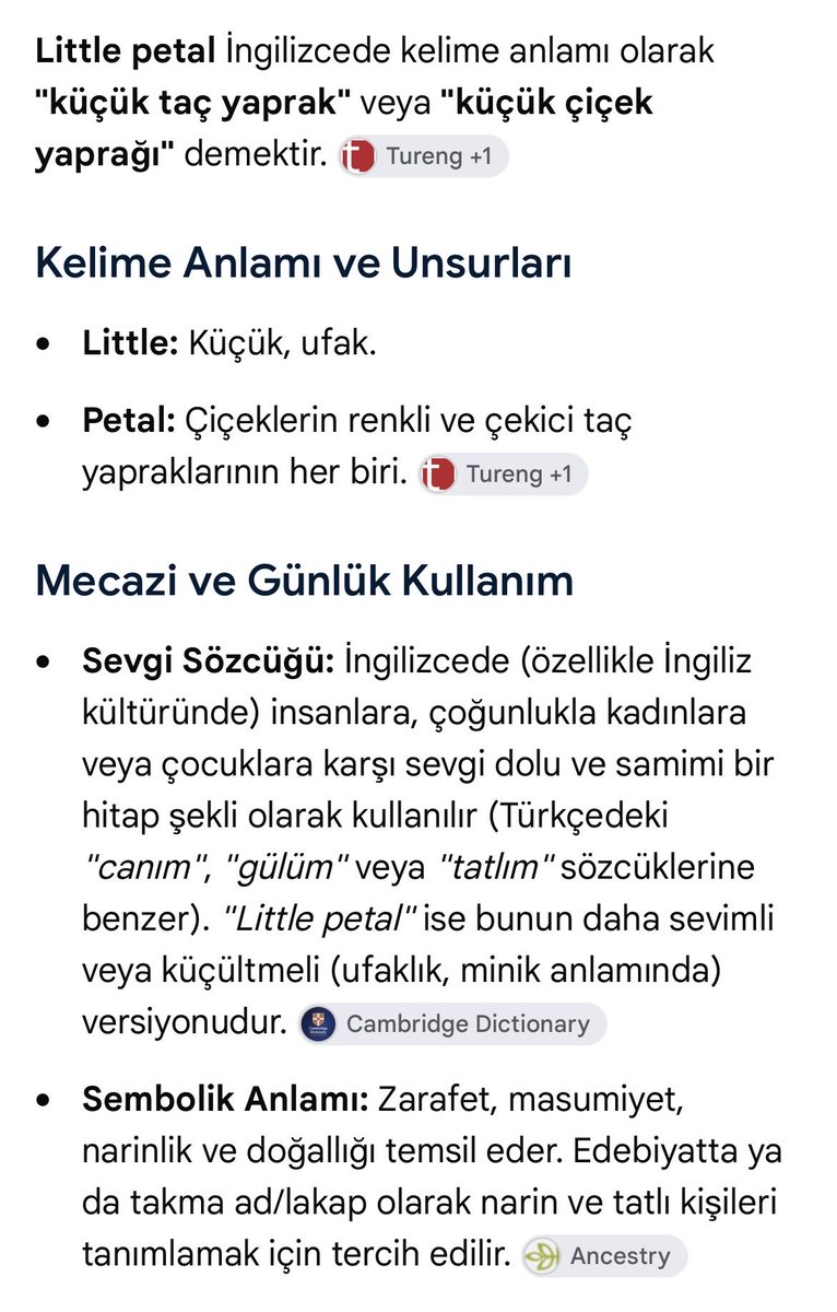milalov31's tweet photo. yabancılar güzel yavrumuz hakkında paylaşım yaptı ve ona Little Petal ismini koydular 🐾🐈 anlamıda çok güzel 🌺 #Yavrukediiçinadalet #C31KTutuklansın #HayvanKatliamınaDurDe https://t.co/4HeYBkfwnh