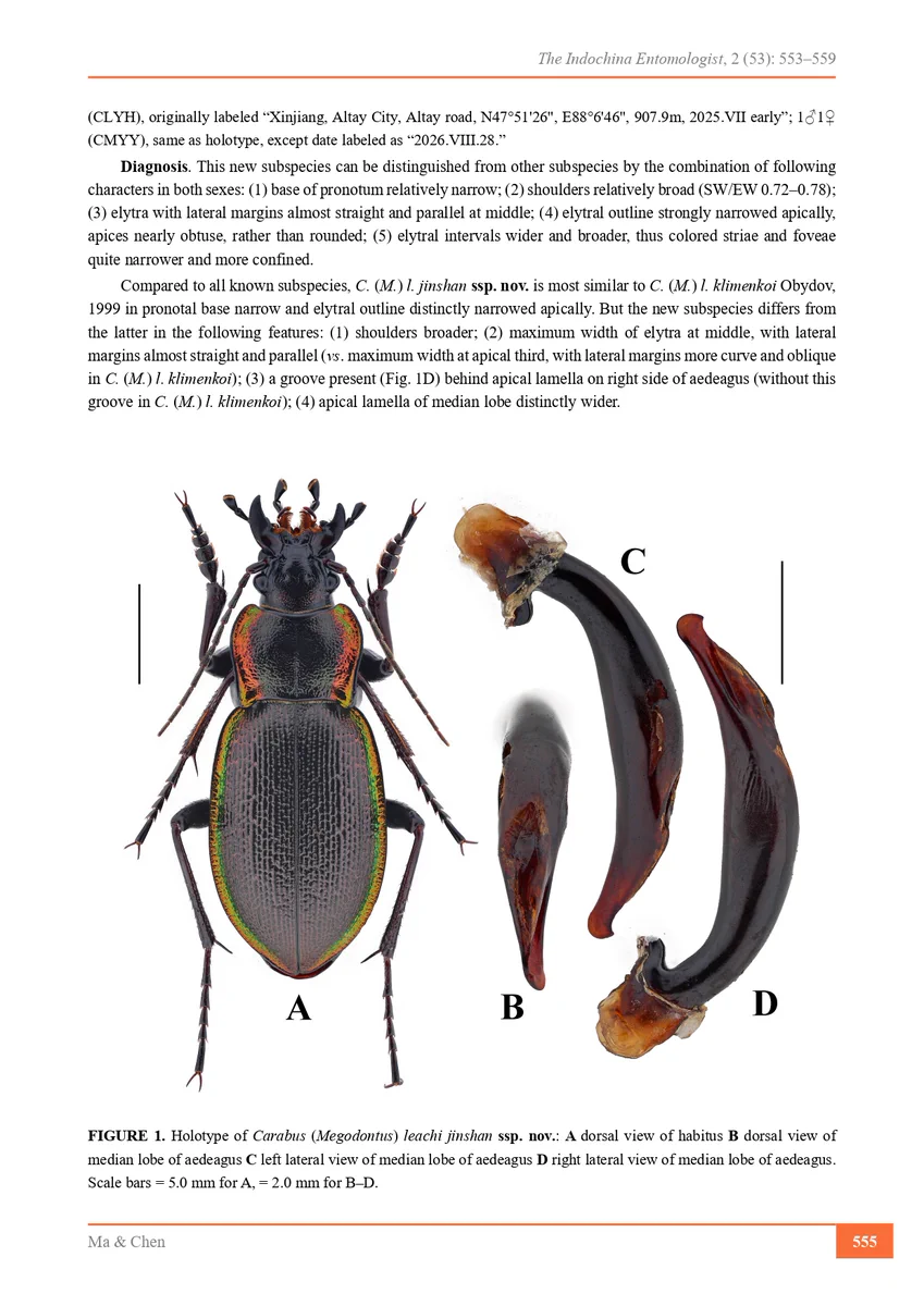 insectech 昆虫採集と標本用品の専門店 動物の惑星フィギュア正規販売