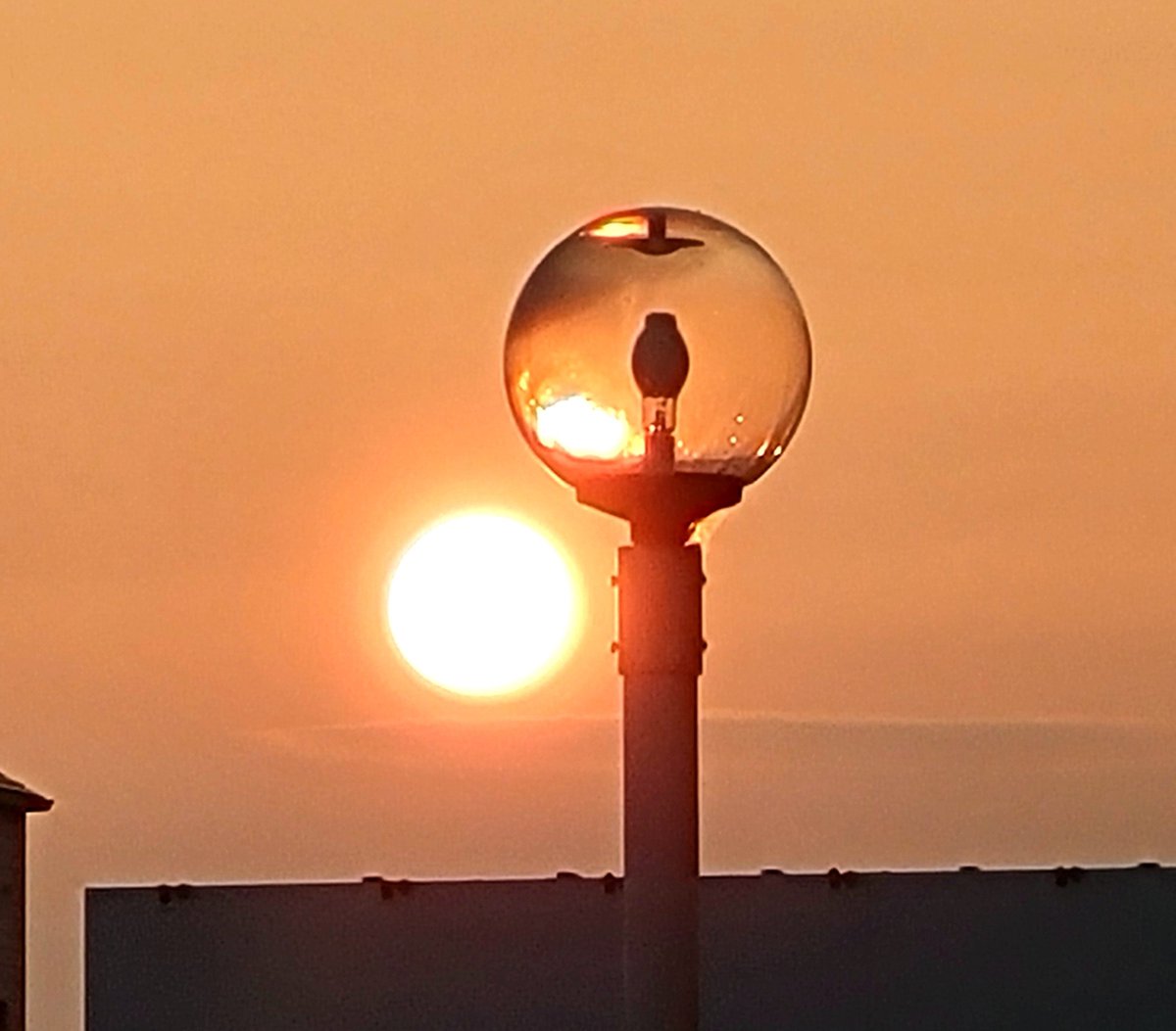 gura_201's tweet photo. その笑顔守られますように　

　　  2026-09-12 夕陽

　　　　　祈り

　良い休日をお過ごし下さい

　　　　ありがとう https://t.co/fCIwTNchpA