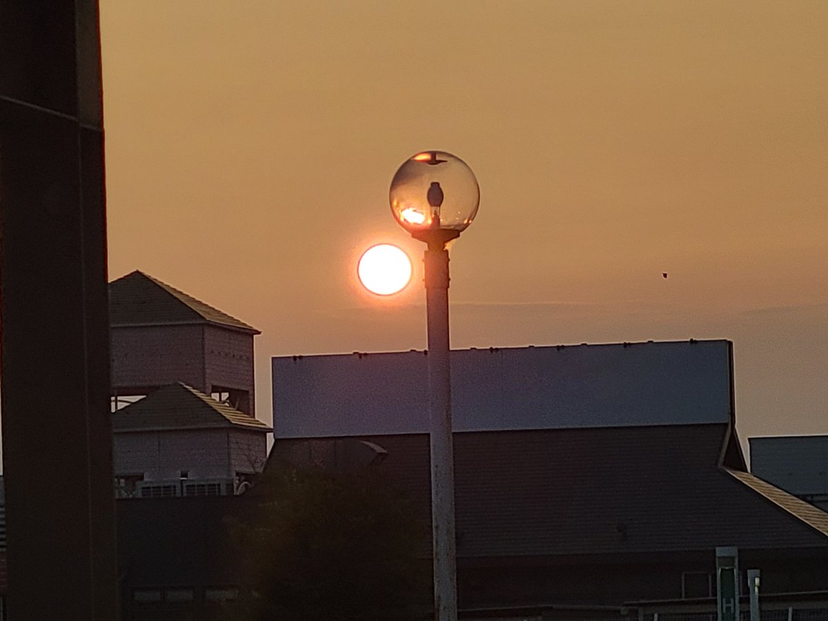 gura_201's tweet photo. その笑顔守られますように　

　　  2026-09-12 夕陽

　　　　　祈り

　良い休日をお過ごし下さい

　　　　ありがとう https://t.co/fCIwTNchpA