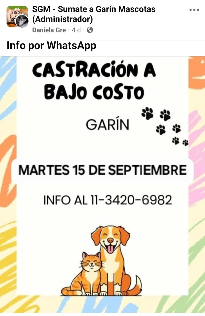 protegealanimal's tweet photo. ESCOBAR
#ESCOBAR #MASCHWITZ #GARÍN #LOMAVERDE #MATHEU #SAVIO #MAQUINISTASAVIO #24DEFEBRERO #BELÉNDEESCOBAR #ZONANORTE #GRANBSAS #BSAS #BUENOSAIRES https://t.co/VaCjWgdOXp