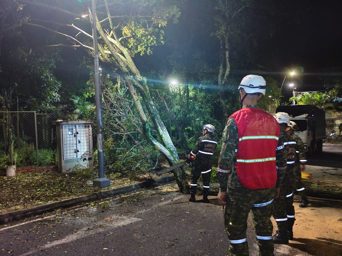 Ingenieros_EJC's tweet photo. BRIAD I En Bucaramanga, Santander, soldados rescatistas atendieron la emergencia ocasionada por un vendaval en el barrio Diamante 1, realizando labores de despeje de la vía y corte de un árbol de guayacán que representaba un riesgo para la comunidad.

Con esta intervención, que beneficia aproximadamente a 1.300 personas, los #IngenierosMilitares contribuyen al restablecimiento de la movilidad y a la reducción de riesgos, reafirmando su compromiso con la atención oportuna y la protección de la población. 

#SNGRDSomosTodos
@SNGRDColombia