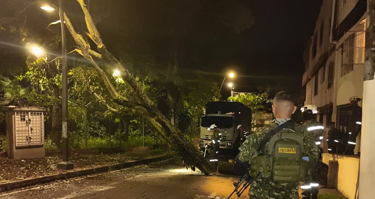 Ingenieros_EJC's tweet photo. BRIAD I En Bucaramanga, Santander, soldados rescatistas atendieron la emergencia ocasionada por un vendaval en el barrio Diamante 1, realizando labores de despeje de la vía y corte de un árbol de guayacán que representaba un riesgo para la comunidad.

Con esta intervención, que beneficia aproximadamente a 1.300 personas, los #IngenierosMilitares contribuyen al restablecimiento de la movilidad y a la reducción de riesgos, reafirmando su compromiso con la atención oportuna y la protección de la población. 

#SNGRDSomosTodos
@SNGRDColombia