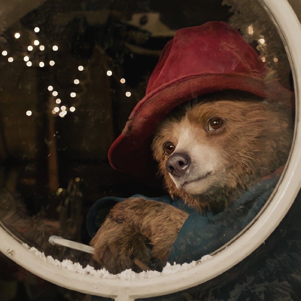 slimvickins's tweet photo. @lucyarchivedd @erinlecount how paddington looks at @erinlecount after hearing she hates him https://t.co/EZxv5YNHI5