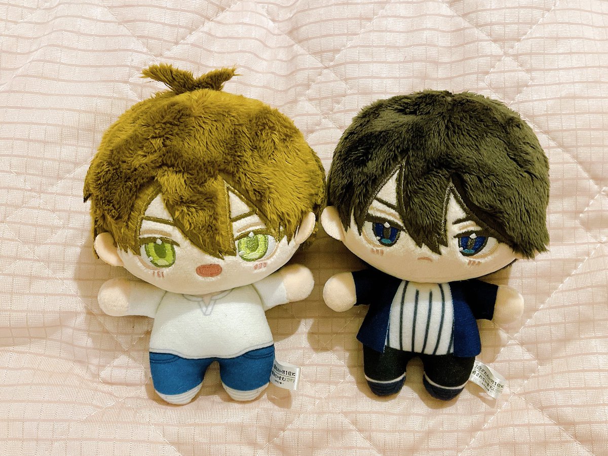 1111x0420_itigo's tweet photo. 届いて以来仲良くお休みしてたちゅんたかぬいちゃんたちを解放＼(^o^)／✨
せっかくなのでマッサージとかアレコレしたら少し雰囲気変わってより自分好みになった気がする✌️💓
どの子もかわいいけどこちらのだかいちぬいちゃんたちもかわいい🫶
#だかいちぬいといっしょ 

←Before  ＼(^o^)／ After→ https://t.co/BYUnmncmx0
