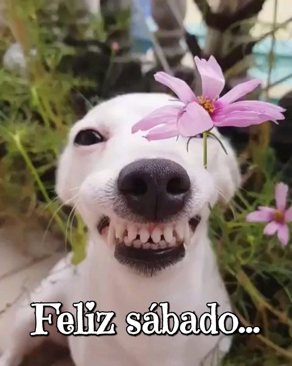 johncitorres's tweet photo. #BuenosDias #FelizSabado https://t.co/oPCs4Xo1gM