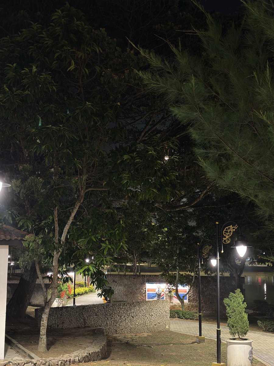 43aeeee's tweet photo. done 2 round walk + 2 round jog https://t.co/1CzcQH1bx6
