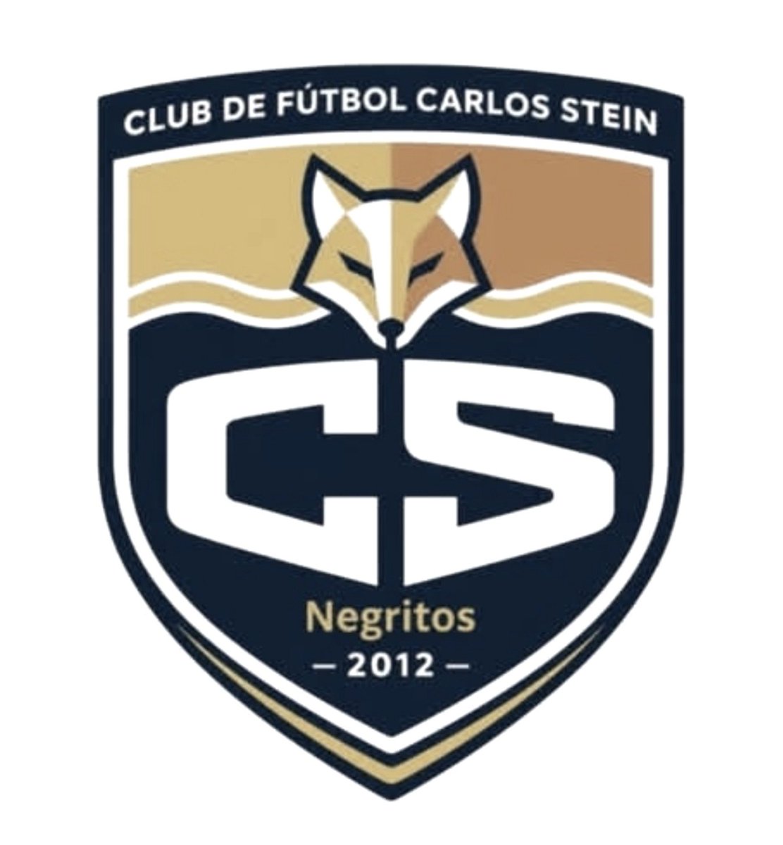 Mannuyashi's tweet photo. Oficialmente el Carlos Stein ha desaparecido del fútbol profesional.

La LINFA sancionó al club tras reincidencia (Falta de garantías) en su duelo ante Santo Domingo con el descenso automático a la Copa Perú, la nulidad del retorno a la Liga 3 por 3 años y multas de hasta 20 UIT. https://t.co/nKv2ZJ0UPf