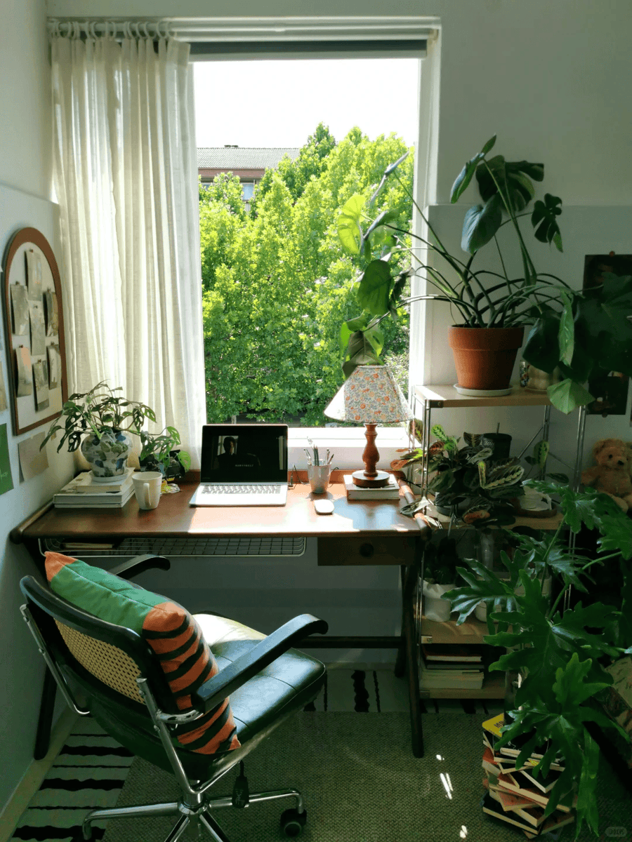 bertc118820's tweet photo. Just spent 10 mins staring at the office plant, watching its leaves sway—today’s most productive work so far.， https://t.co/Gq43bRyHxH