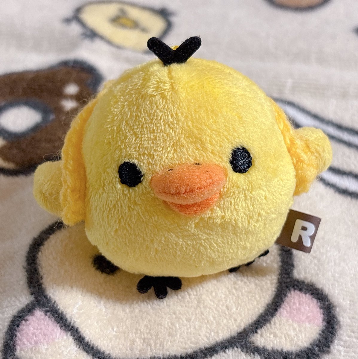 Fuwamochi_tori's tweet photo. あたらしい リュック❕💛🐤 https://t.co/zr1i70WnBk