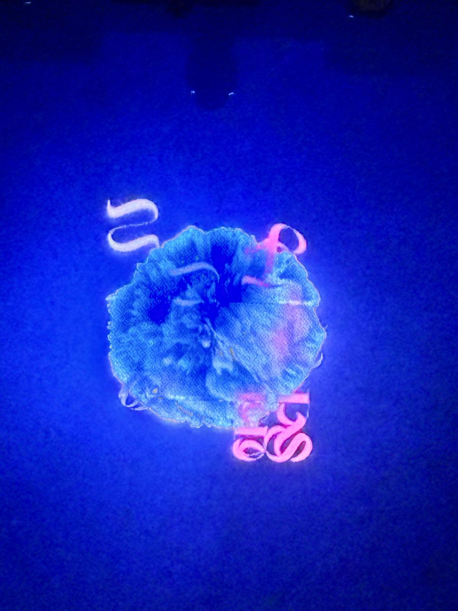 uetoMUSIC_014's tweet photo. flumpool
「ここからの歌」超最高でした！！
言葉にならんぐらいの感動と余韻です😁
阪井さんが「恐ろしいセトリ」と言ってた意味がわかりました☺️
めちゃくちゃロックでカッコ良すぎて、神セトリでした✨✨

個人的に一番好きなバラード曲を歌ってくれて、嬉しかったです☺️
#flumpool
#ここからの歌 https://t.co/RkzvhpN5Br