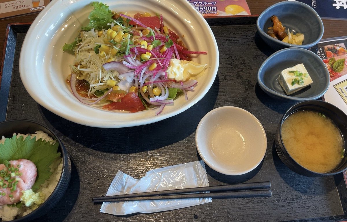 manya_su's tweet photo. 北の味紀行と地酒　北海道にてランチ。日替わりは、ラーメンサラダとねぎとろ丼でした☺️レギュラーメニュー化して欲しい！
9月末期限の株主優待を使い切らねば🐷
#コロワイド　#株主優待 https://t.co/mOGOetBZEG