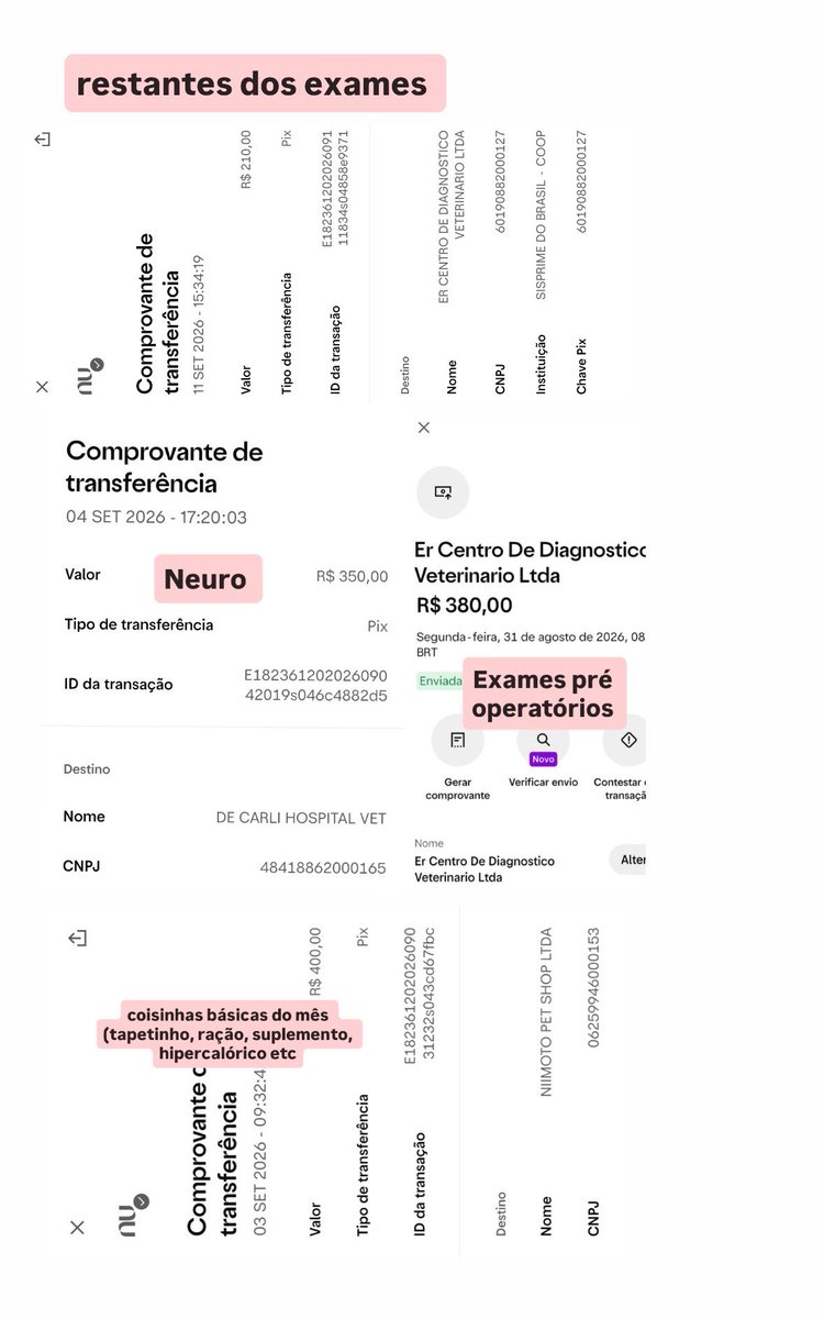 sonzapetsch's tweet photo. pessoal não vendemos mais nenhum número da rifinha da Aurorinha 🥹 ela está me dando sustos esse mês com todos esses exames, qualquer valor ajuda muuuito pq ainda preciso manter ela o restante do mês 🩷 comprovantes abaixo 👇🏻 

🔑 auroracalvinha@gmail.com https://t.co/wFoOnJWOoT