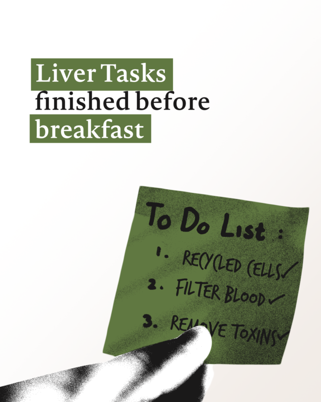 SiggiClavien's tweet photo. Before most of us answer our first email, the liver has already completed an extraordinary amount of work. Some of the hardest-working parts of our body do their best work quietly.

#liverhealth #preventativehealth #longevity #healthspan #wellbeing #metabolichealth https://t.co/WYcfNMUzlv