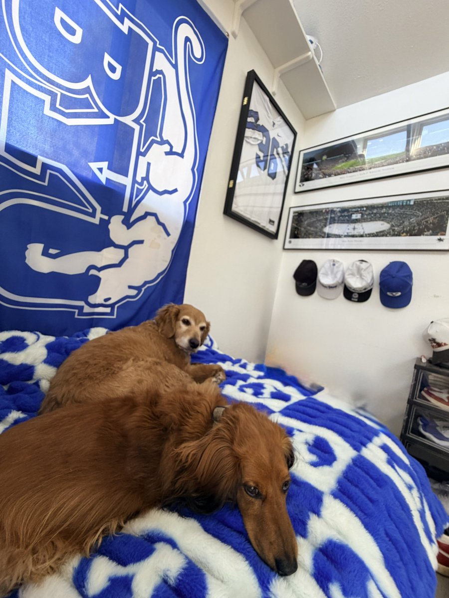 TealCoug's tweet photo. The boys are ready for game day!
#BeatAZ https://t.co/ZYBRqTWNvo