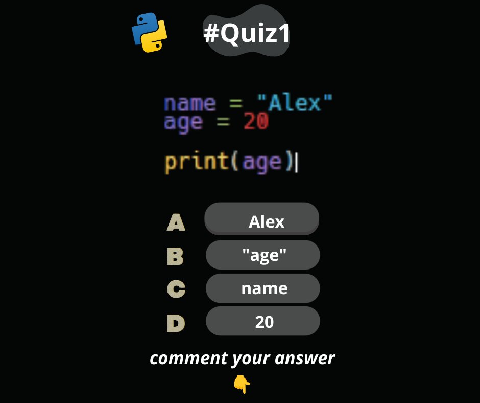 codingpython0 tweet picture
