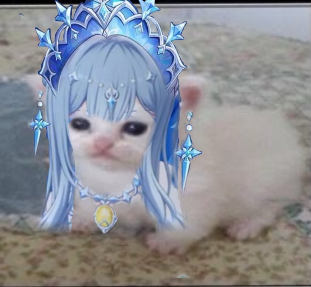 failedengine's tweet photo. @kunabla She looks like this kitten https://t.co/i1YvcJFURt