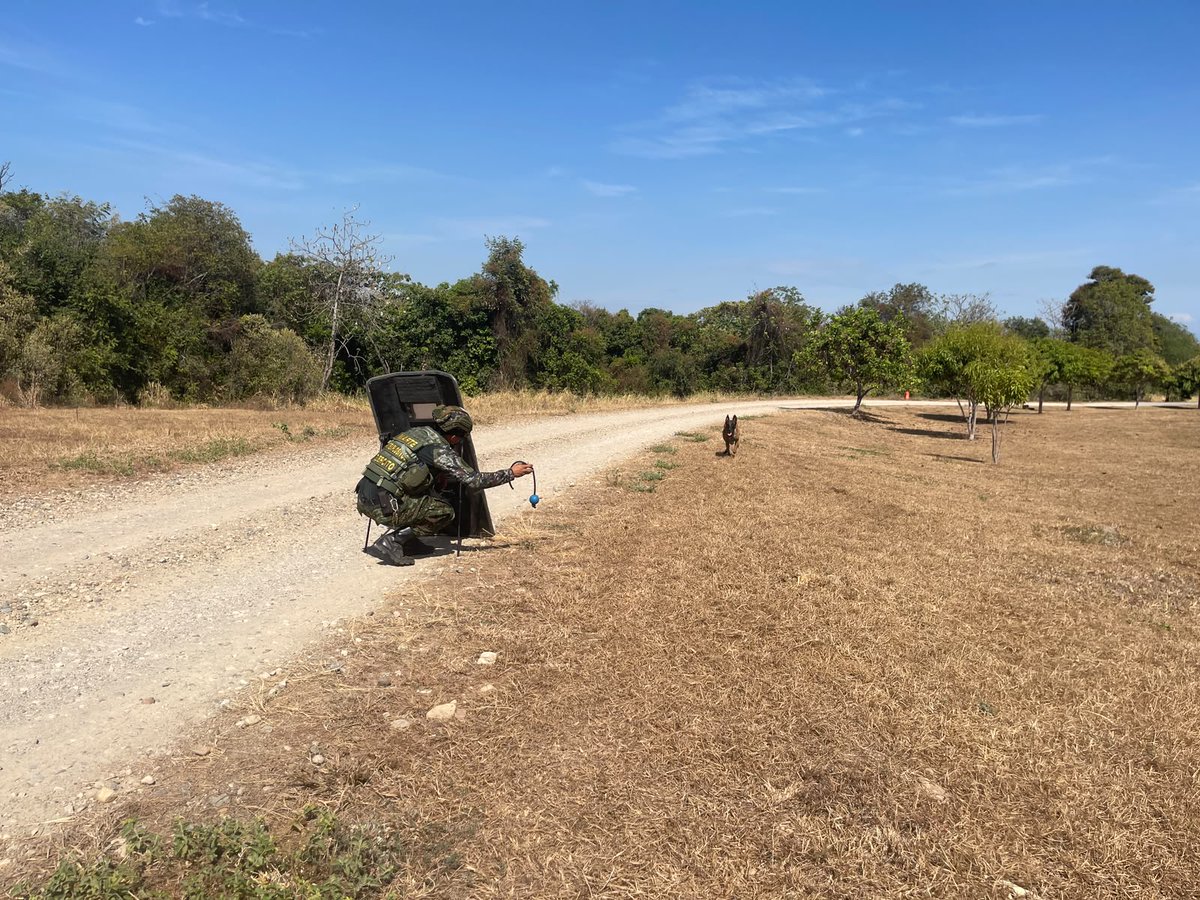 Ingenieros_EJC's tweet photo. CENAM I Los grupos de Manejo de Artefactos Explosivos MARTE, desarrollan entrenamiento operacional de sostenimiento en tácticas, técnicas y procedimientos EOD, orientado a fortalecer sus capacidades para la neutralización de amenazas de alto riesgo y la investigación técnica de eventos e incidentes relacionados con artefactos explosivos.

Este entrenamiento permite mantener y perfeccionar las competencias de nuestros especialistas, fortaleciendo una respuesta técnica, segura y oportuna frente a escenarios que puedan representar un riesgo para la población y el territorio. 

#PatriaHonorLealtad