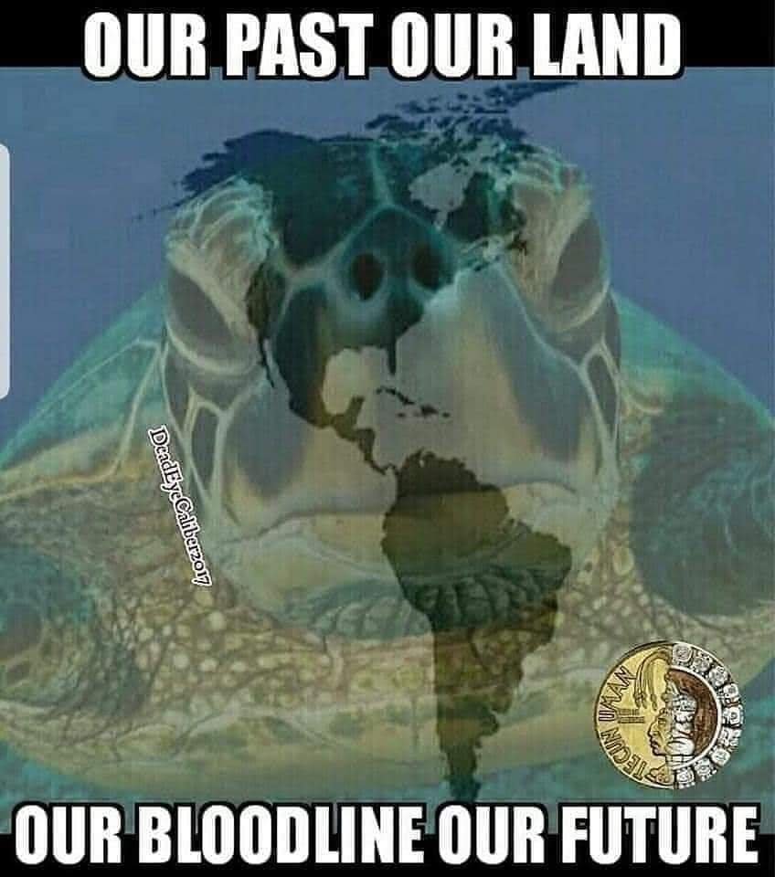 YoanaVega10's tweet photo. @Ricky26603475 #TURTLEISLAND
for #TURTLEISLANDERS 
#INVADERS 
#ILLEGAL #ALIENS
are not #WELCOME!! https://t.co/GGzLh6ywoS