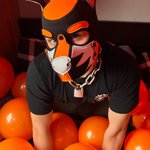 Photo by Prince Neo (@Neo_Doggo)