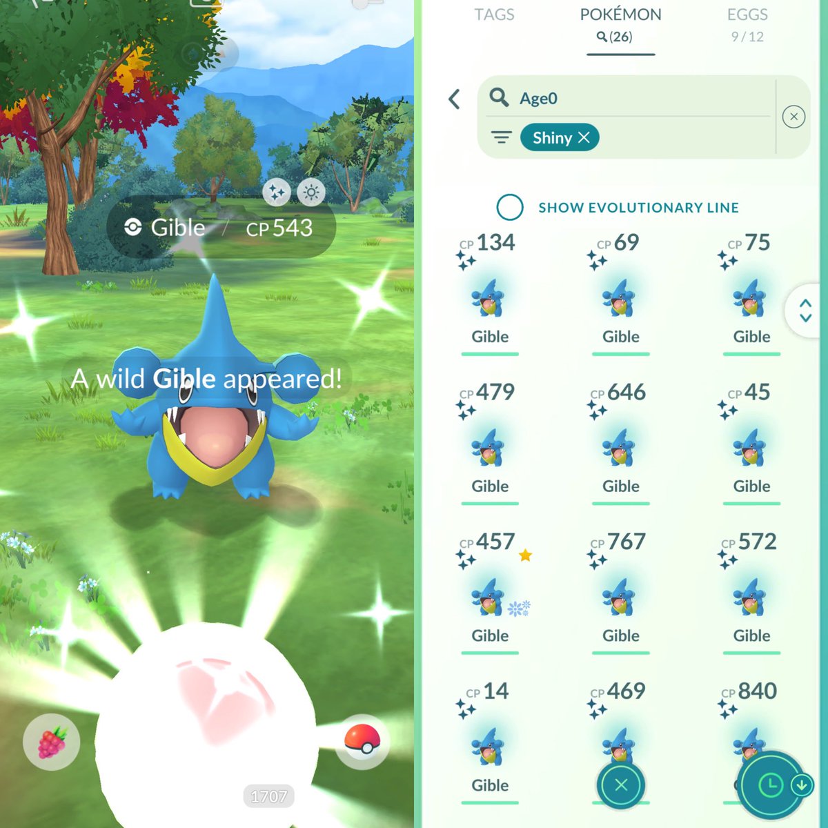 BlueJay_pkmgo's tweet photo. Gible Community Day Classic

✨26 shinies
💯2 hundo
🎇50 backgrounds (2 shiny BG)

No shundo or BG hundo. Hope I can catch shundo Garchomp at upcoming Wild Area. 

So…first ever month only having community day “classic”. Is this going to be a usual thing?

#pokemongo #ポケモンGO https://t.co/tOq5HuBQGh