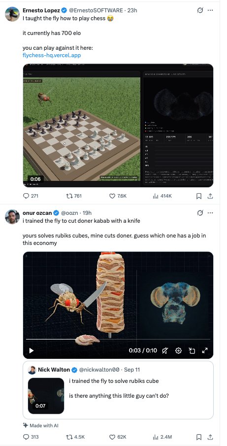 martinuke0's tweet photo. one day navier-stokes solved

next day AI will destroy everything pretraining researcher bla bla

today: https://t.co/ej7hCWaibq