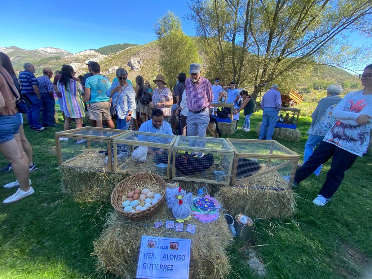 fernand12925138's tweet photo. Esta mañana he tenido el placer de asistir a la tradicional **Feria Ganadera del Cristo de Valdelugueros**. Una magnífica jornada para disfrutar de nuestras costumbres, reconocer el esfuerzo de ganaderos y vecinos, y poner en valor la riqueza de nuestra tierra.
#Leonesp https://t.co/J0Q2ULpT6L