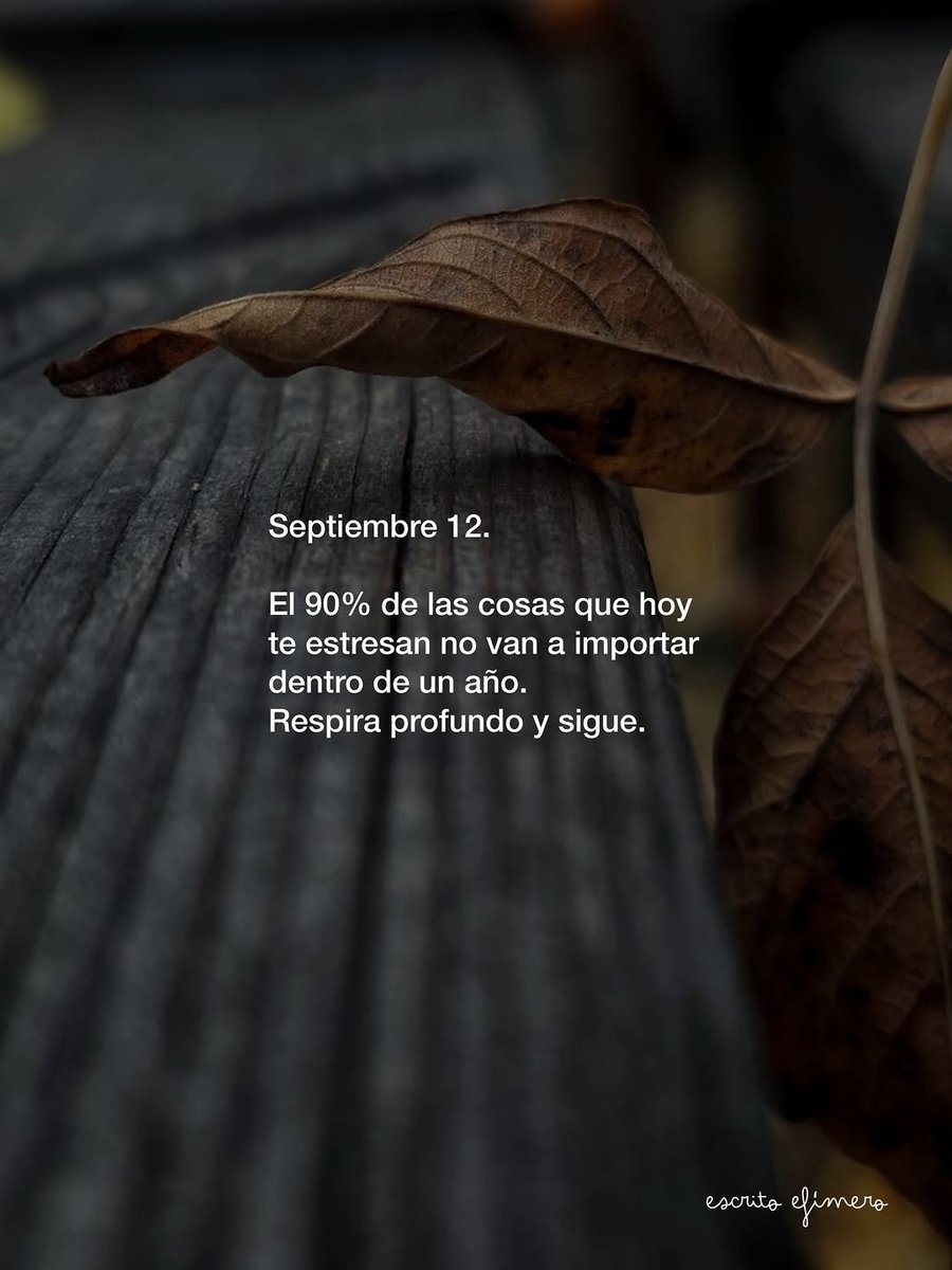 El_abuacatit0's tweet photo. 🍂 https://t.co/BdY64h3m2b