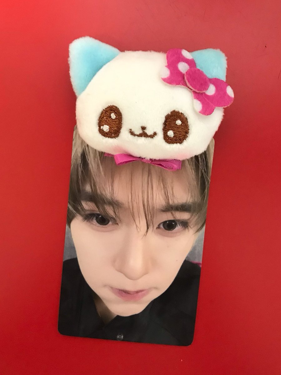 yush1over's tweet photo. 툐툐 처하자  ᐢ⸝⸝ʚ̴̶̷̷ ·̫ <⸝⸝ᐢ https://t.co/SKKu5fF1LK