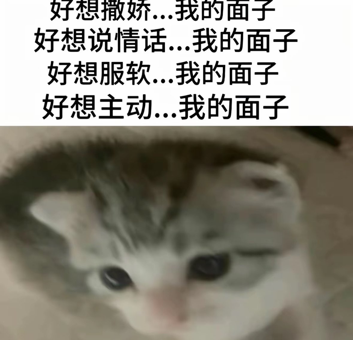Liii_s15's tweet photo. https://t.co/KzdmbshWYZ