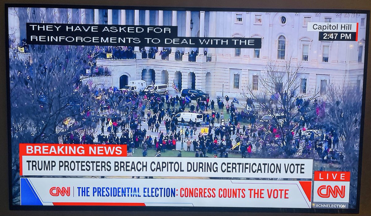 9thRedLion's tweet photo. @Democracy20500 @PaxAeterna If their #Gerrymandering and #VoterSuppression doesn’t work then we know what they will do next - launch another TERRORIST attack to overthrow our democracy like they tried on Jan 6th, 2021 when they brutally and savagely beat up over 170 POLICE OFFICERS. 

Rabid NAZI lunatics. https://t.co/29F2gqGZKE