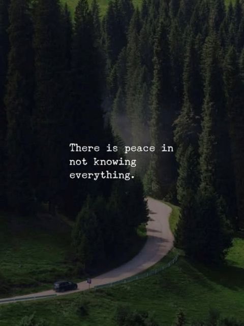 RobertHislop's tweet photo. It begins and ends with your mindset.#coaching #motivation #2tuumbs https://t.co/OGXF6OIVZJ