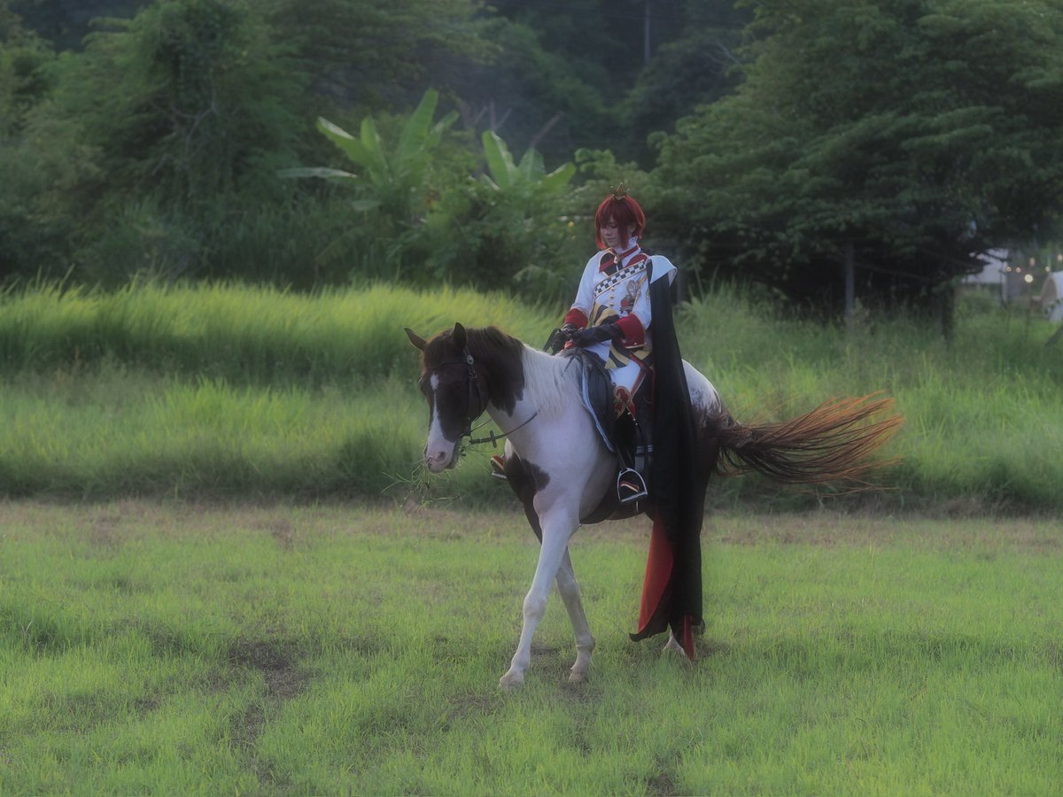 mk_7650's tweet photo. No editing raw photos! It’s been so long since I’ve ridden a horse I miss it 🥹
Photos from my dad (I haven’t seen the photographer photos yet) https://t.co/qI74Mwu5Ns