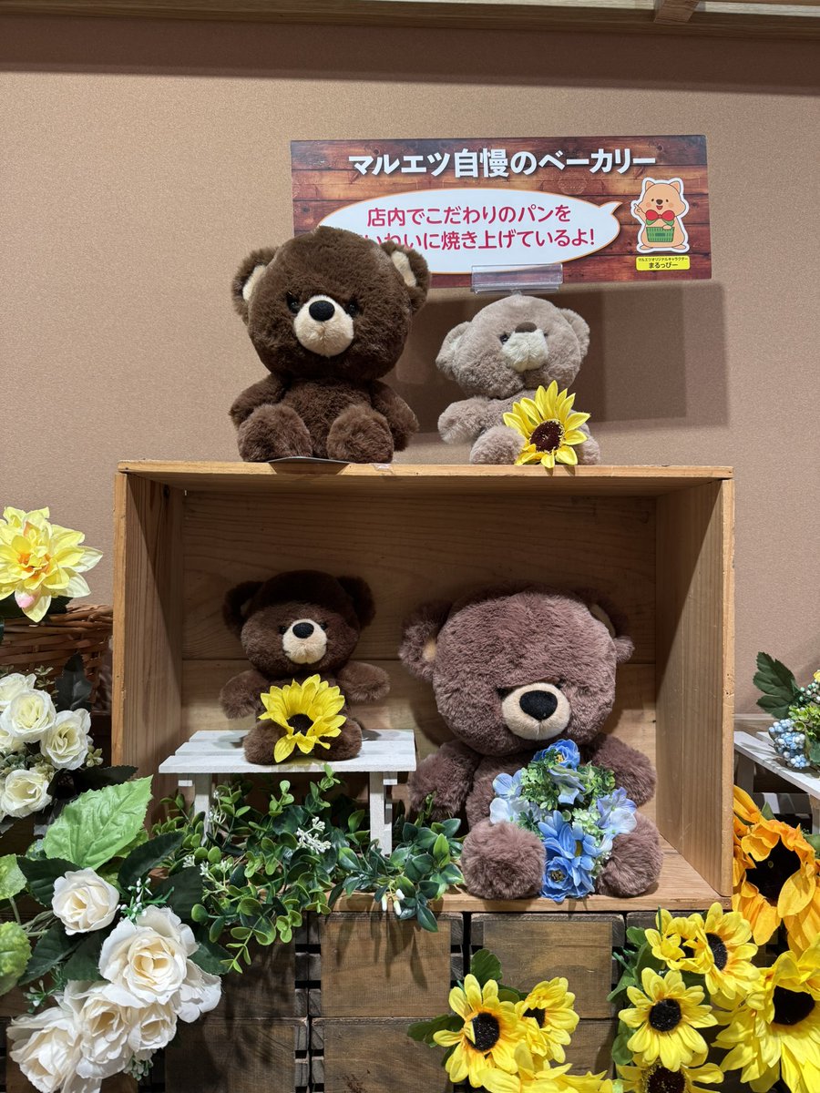 Teee_channn's tweet photo. スーパーのマルエツに行った時にかわいいクマさんがいたから撮影しちゃった！で、ついでにパンを買ったさ🐻 https://t.co/2uY79wuJfJ