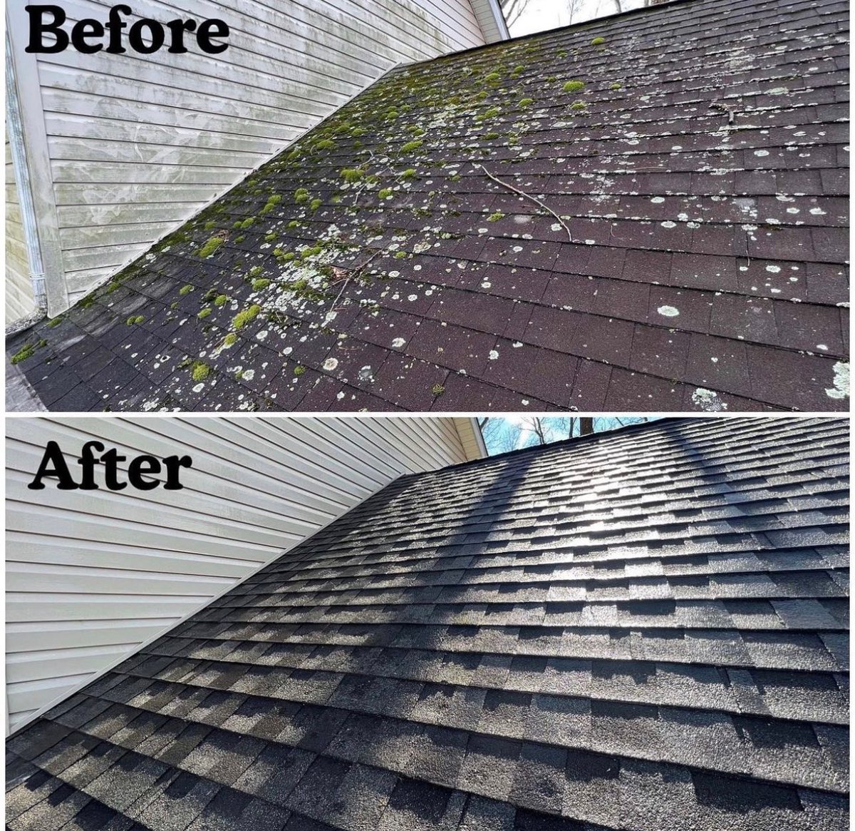 SoftwashPdx's tweet photo. Hillsboro + Portland area: LP softwash cuts moss/algae pre-fall. 24-mo Roof No Green Growth Guarantee; 12-mo House Wash No Green Growth Guarantee; 30-day Gutter Cleaning Guarantee; 100% Satisfaction Guarantee. Free quote! https://t.co/tdQ9pTVQ89