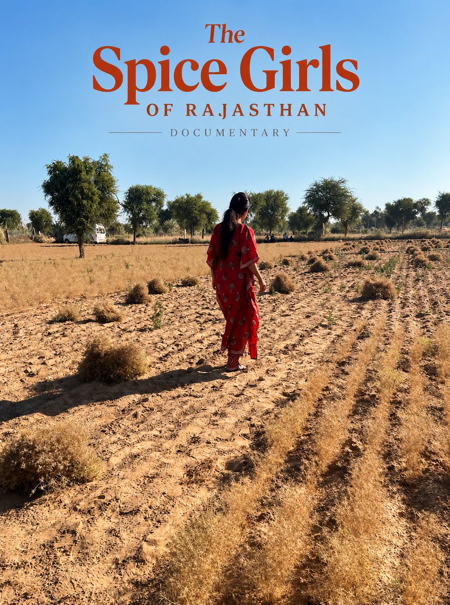 spice_rajasthan's tweet photo. A glimpse behind the scenes with Neelam walking through the cumin harvest. From the fields of Rajasthan to the shelves of MV Spices.

#TheSpiceGirlsOfRajasthan #Cumin #Rajasthan https://t.co/TMDE4kn3eK