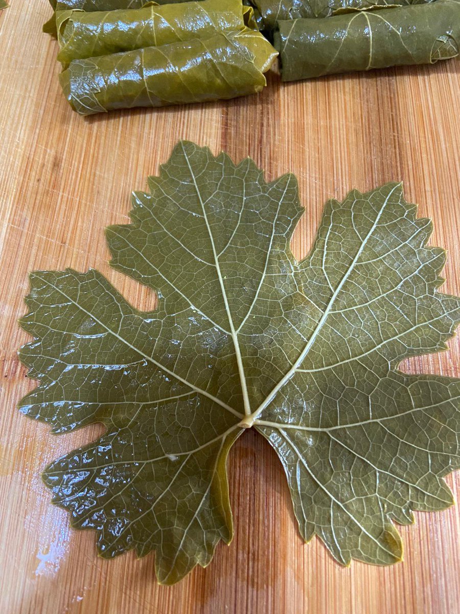 umutelmas's tweet photo. İtalya da yaprak sarma denemeleri, pizza, makarna, tiramisu nereye kadar. Hayatımda ki ilk denemem bakalım nasıl olacak? https://t.co/MVCFW6IzMv