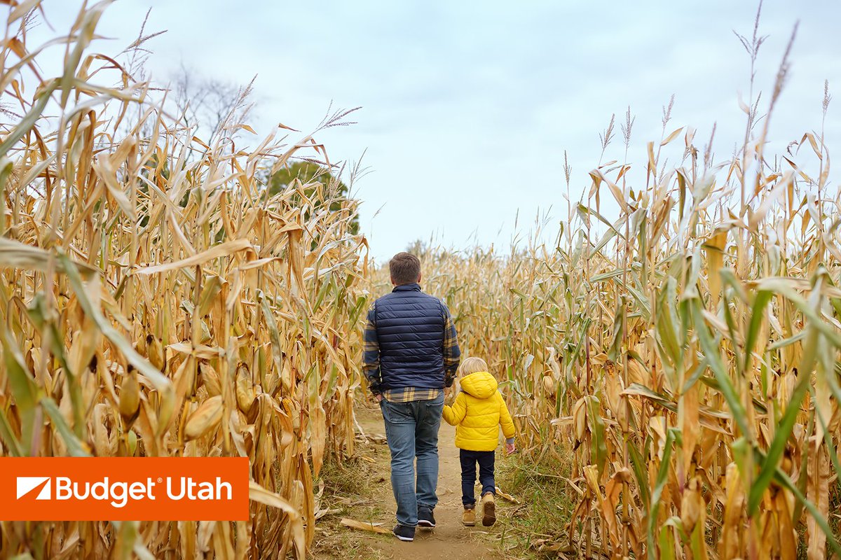 budgetutah's tweet photo. Get ready for fall! Check out the Crazy Corn Maze at Nightfall Halloween Park. 
https://t.co/AKR20jzWKo
#TheCrazyCornMaze #UTFall https://t.co/ZMGuPcWQvm