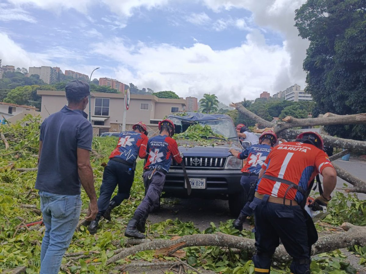 darwingonzalezp's tweet photo. ¡Atención, baruteños! 

A esta hora el equipo de @Baruta_PC se encuentra atendiendo un árbol caído en la calle Juan Iturbe Sur en La Trinidad.

Hubo dos carros involucrados pero gracias a Dios no hay lesionados. Ya los equipos se encuentran trabajando en el despeje de la vía. https://t.co/XVN8YCB0C6