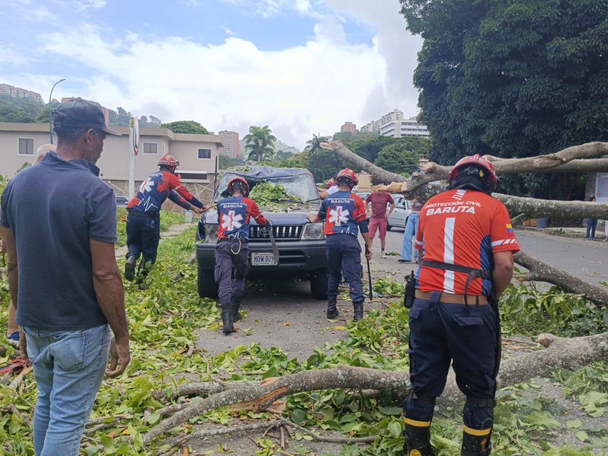 darwingonzalezp's tweet photo. ¡Atención, baruteños! 

A esta hora el equipo de @Baruta_PC se encuentra atendiendo un árbol caído en la calle Juan Iturbe Sur en La Trinidad.

Hubo dos carros involucrados pero gracias a Dios no hay lesionados. Ya los equipos se encuentran trabajando en el despeje de la vía. https://t.co/XVN8YCB0C6