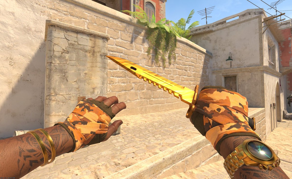 Frnzzee's tweet photo. @VECTIZZ1 Badlands look great with M9 TT https://t.co/5OghI204xq