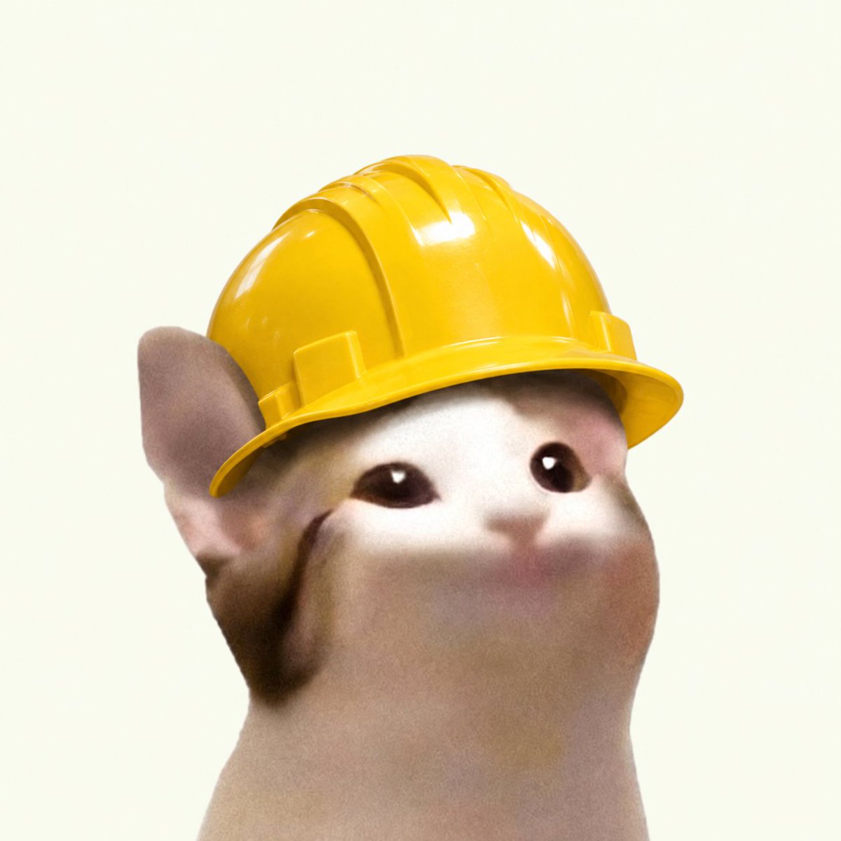 blkroad06's tweet photo. @ORE Just sent you 20% of $minecat 

lets mine some $ORE https://t.co/PM0RN5GD85